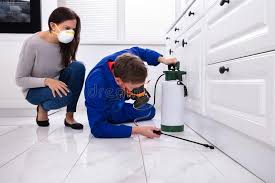 Best Residential Pest Control  in Hampton, IA